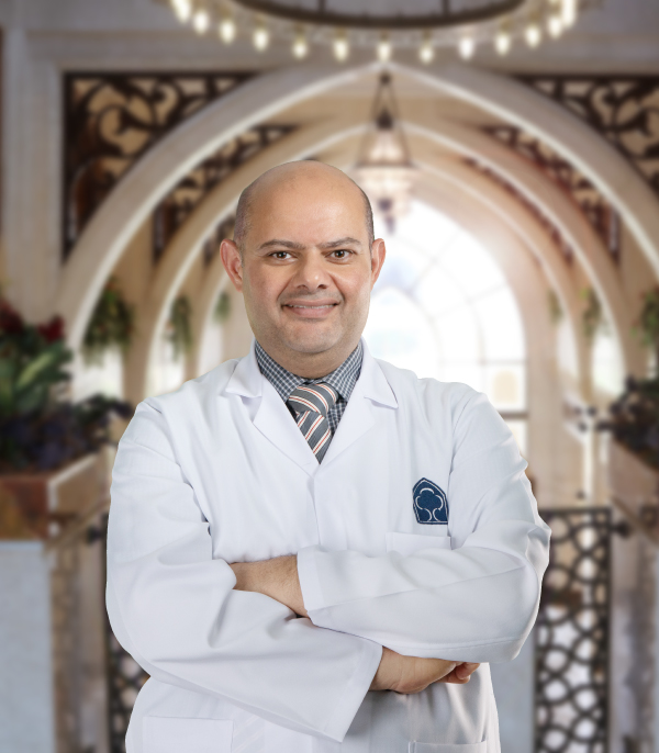 Dr. Amir F. Amer